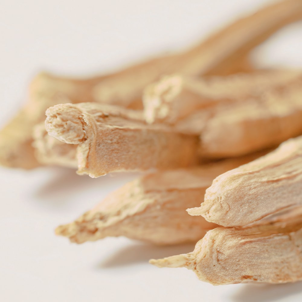 Astragalus-root