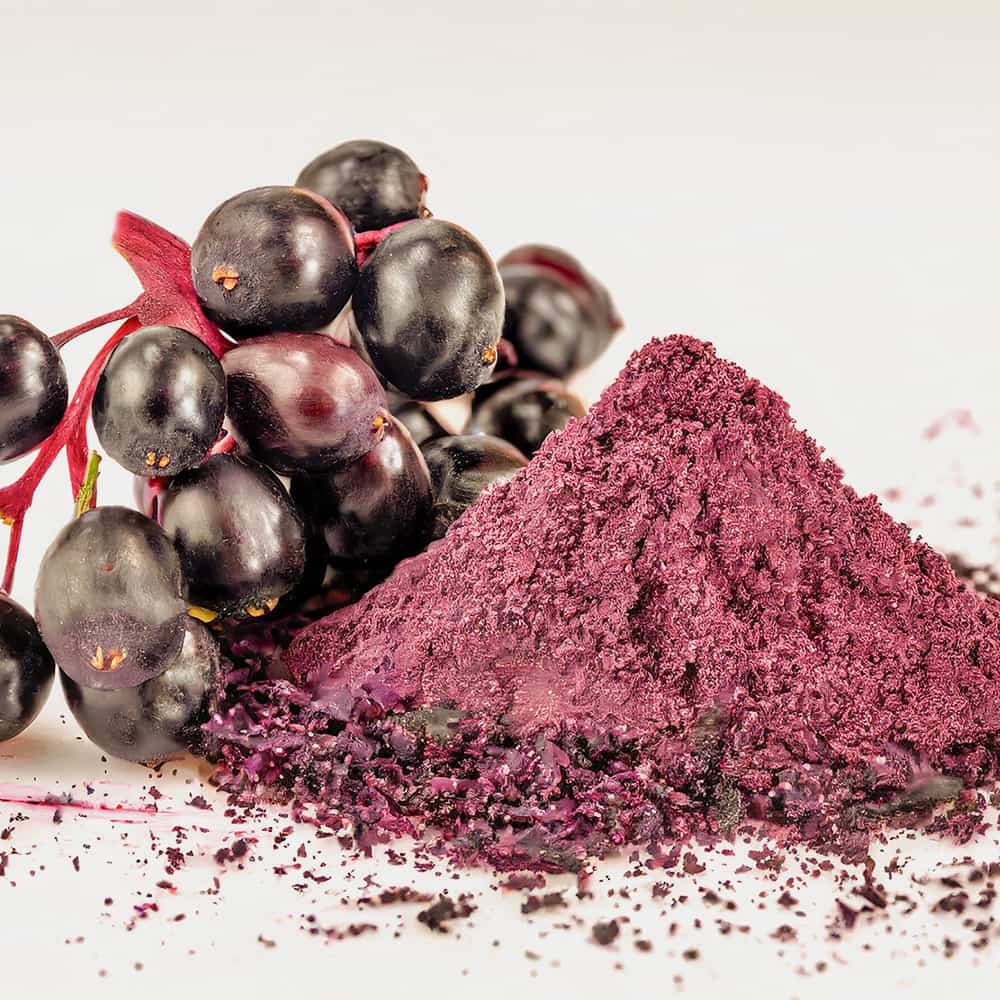 Elderberry-extracts